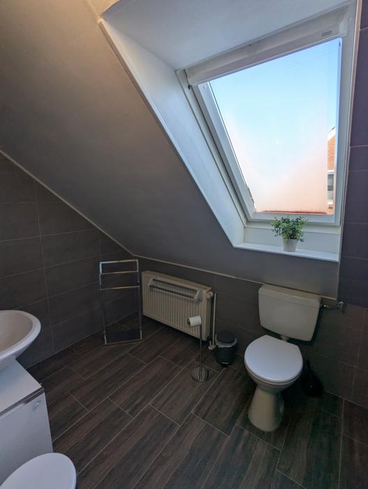 Bad mit Dachfenster, WC und Handtuchhalter