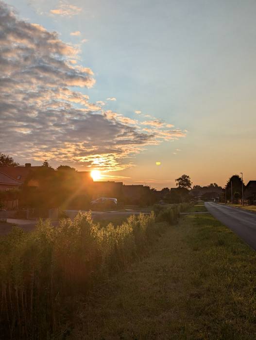 Sommerabend mit Sonnenuntergang in Warsingsfehn